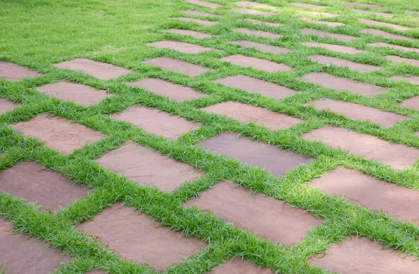 stock image Green grass with stone tiled floor pattern.