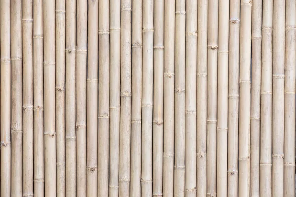 Bamboo wall texture or background. Bamboo plank fence.