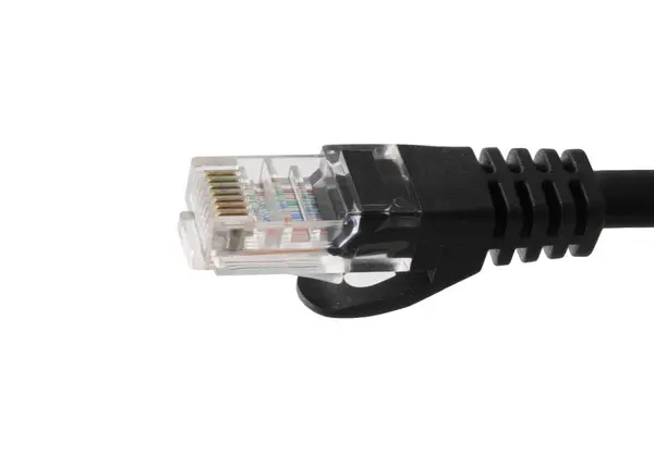 Black Network Cables Molded Rj45 Plug Isolated White Background — Stock Photo, Image