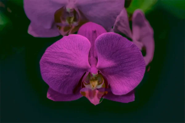 Kurumuş ve katlanmış tuvalet malzemeleri..