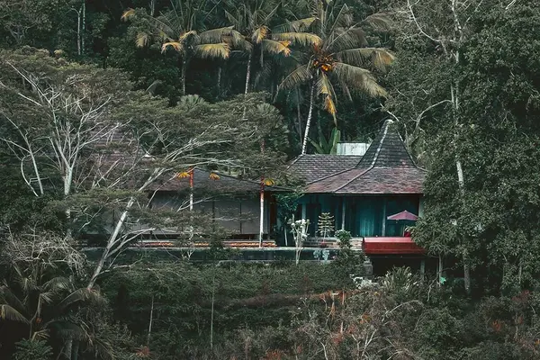 Ubud, Bali 'nin tropikal ormanlarının ortasında bir pansiyon.