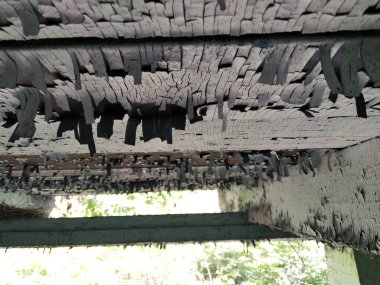 Terk edilmiş Topraklar. Eski terk edilmiş ve kısmen yıkılmış binaların olduğu bir bölge..