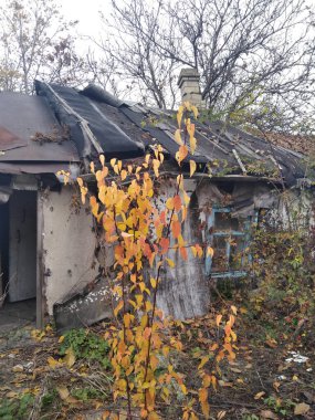 Terk edilmiş Topraklar. Eski terk edilmiş ve kısmen yıkılmış binaların olduğu bir bölge..