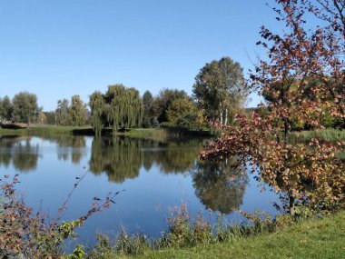 Sonbaharın başında. Düştü. Gölet, gölün etrafındaki ağaçlar. Kırsalda küçük bir göl. Sarı ve yeşil yapraklar.