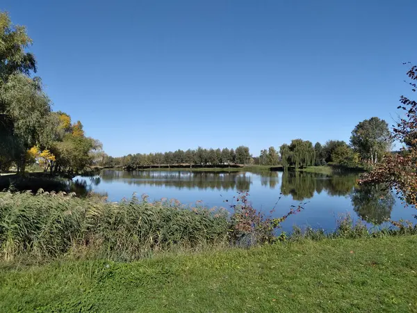 Sonbaharın başında. Düştü. Gölet, gölün etrafındaki ağaçlar. Kırsalda küçük bir göl. Sarı ve yeşil yapraklar.