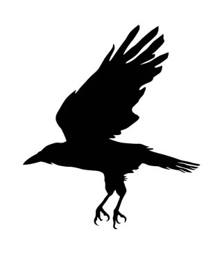 Kara Karga. Kara kuş. Siluet. Baskı, poster ve çizimler için vektör resmi.