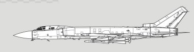 Tupolev Tu-28, Tu-128 Fiddler. Ağır avcı gemisinin vektör çizimi. Yan görüş. Resim ve bilgi grafikleri için resim.
