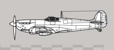 Supermarine Spitfire Mk V vektör çizimi 2. Dünya Savaşı İngiliz savaş uçağı. Yan görüş. Resim ve bilgi grafikleri için resim.