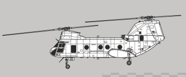 Boeing Vertol CH-46 Deniz Şövalyesi. Donanma nakliye helikopterinin vektör çizimi. Yan görüş. Resim ve bilgi grafikleri için resim.