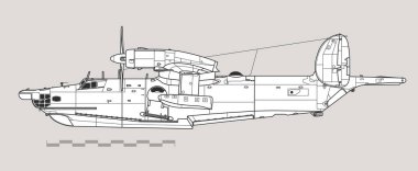 Beriev Be-12 Posta. Anahat vektör çizimi