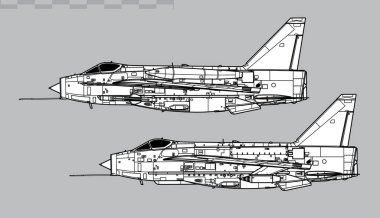 English Electric Lightning F.Mk 6, Mk 53. Süpersonik çok delikli avcı uçağının vektör çizimi. Yan görüş. Resim ve bilgi grafikleri için resim.
