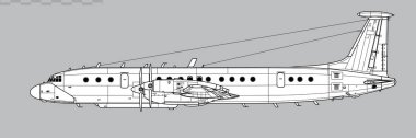 İlyushin Il-22M-11 Zebra. Coot. Hava üssü. Yan görüş. Resim ve bilgi grafikleri için resim.
