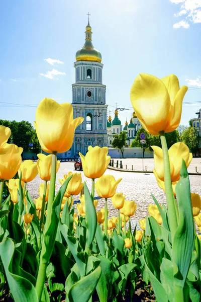 View Sofievskaya Square Blossoming Spring Kyiv Ukraine — Zdjęcie stockowe