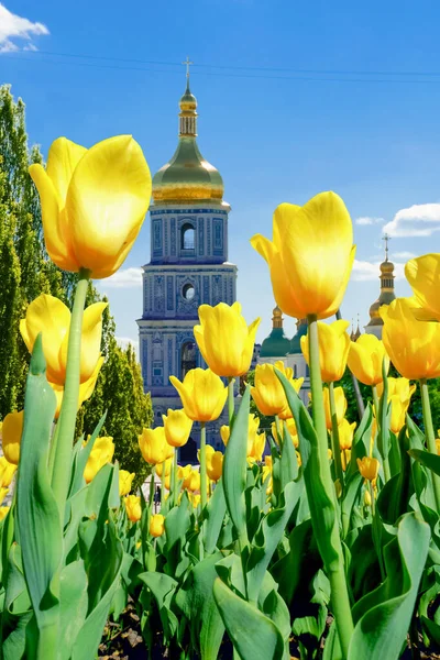 View Sofievskaya Square Blossoming Spring Kyiv Ukraine — Stock fotografie