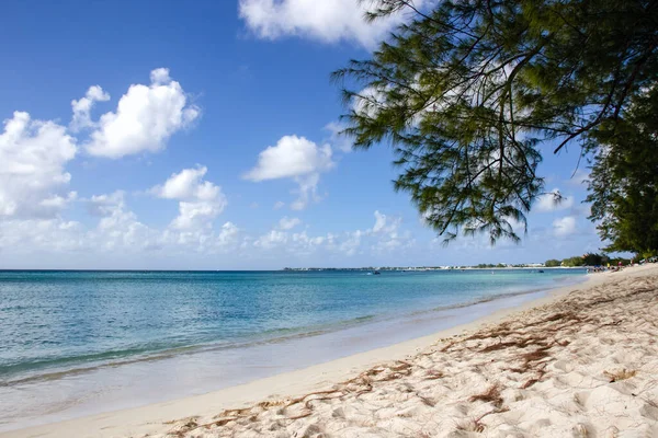 Seven Mile Beach Cayman Islands — Zdjęcie stockowe