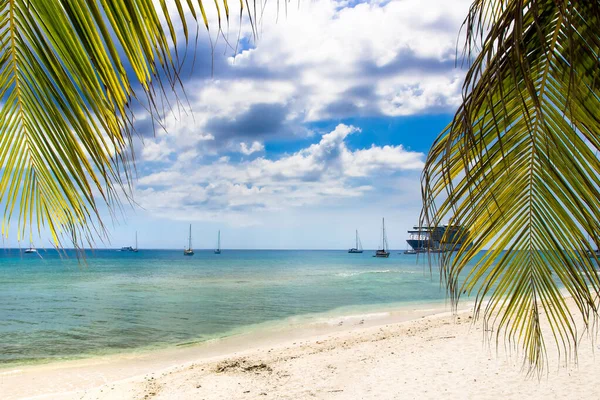 George Town Daki Sahil Grand Cayman — Stok fotoğraf