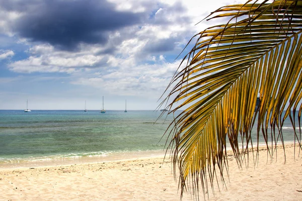 Spiaggia George Town Grand Cayman — Foto Stock