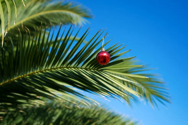 Novoroční Ozdoby Palmách Koncept Tropické Slavnosti — Stock fotografie