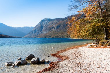 Slovenya 'da güzel bir sonbahar. Bohinj Gölü