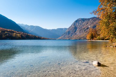 Slovenya 'da güzel bir sonbahar. Bohinj Gölü