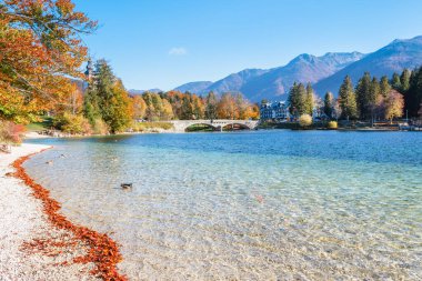 Slovenya 'da güzel bir sonbahar. Bohinj Gölü