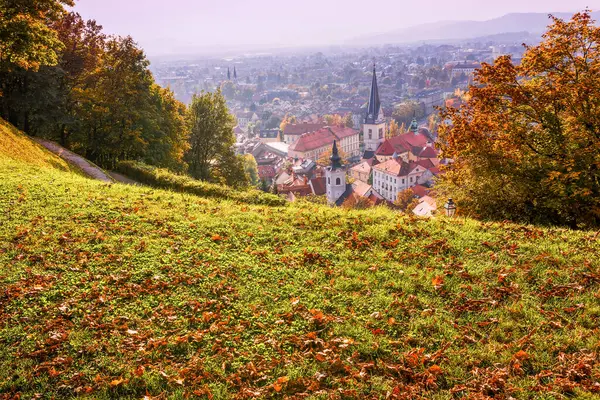Castle Hill Ljubljana Slovenia — Stock Photo, Image