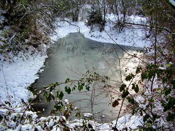Small wildlife pond frozen by the Winter weather