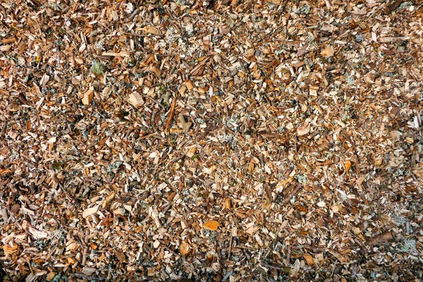 Close Wood Chippings Electric Shredder Used Pathway Polytunnel — Stock Photo, Image