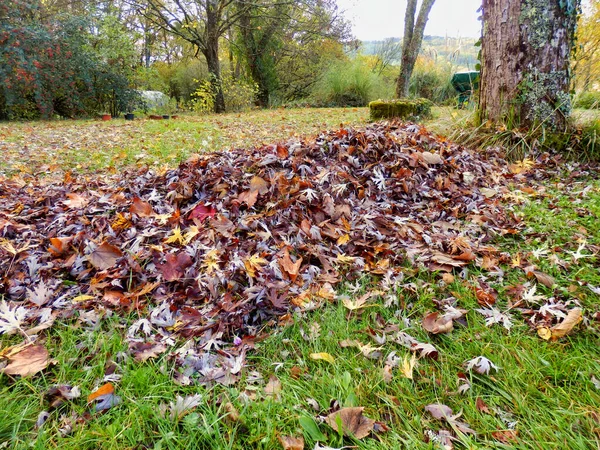 Stapel Herfstbladeren Uit Harken Van Het Gazon — Stockfoto