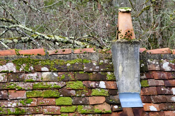 苔で覆われ 壊れた古いテラコッタの屋根瓦の閉鎖 — ストック写真