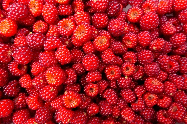 Tigela Cheia Wineberries Recém Colhidos Rubus Phoenicolasius Também Conhecido Como Fotografia De Stock