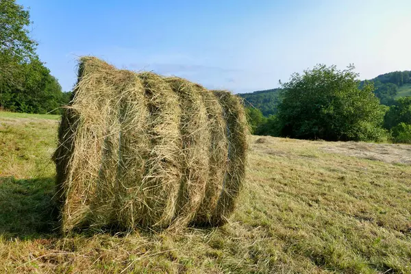 フランスのドードーニュ地方の干し草の俵から排出された丸い干し草の俵の閉鎖 — ストック写真