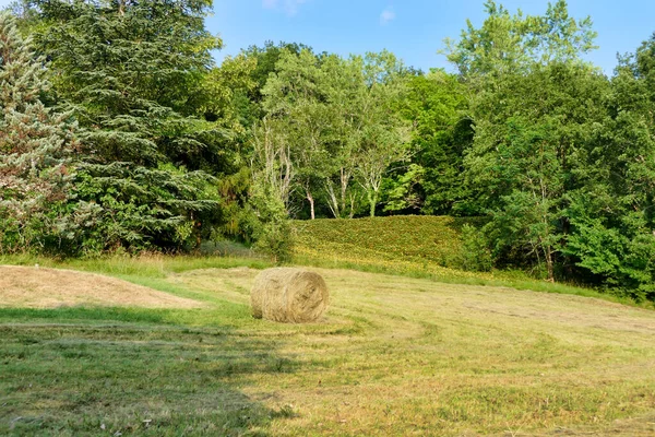 美しい田園風景の中で干し草の俵から排出された丸い干し草の俵 — ストック写真