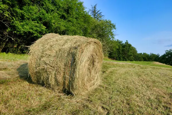 フランスのドードーニュ地方の干し草の俵から排出された丸い干し草の俵の閉鎖 — ストック写真