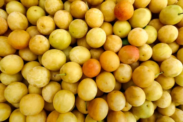 Amarelo Casa Cultivada Mirabelle Frutas Prunus Domestica Subsp Syriaca Recém — Fotografia de Stock