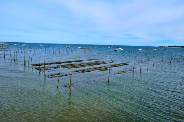 Oyster bed sacks being revealed at low tide at Cap Ferret in Arcachon Bay, France