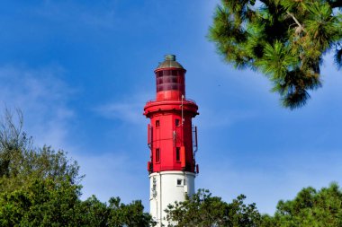 57 metre yüksekliğindeki Kaptan Ferret Deniz Feneri 'nin, Fransa' nın Arcachon Körfezi 'nden Atlantik Okyanusu' na uzanan yarımadadaki deniz çam ağaçlarının arasından geçişi.