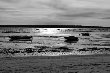 Fransa 'nın Cap Ferret kentindeki kıyıların tek renkli fotoğrafı Avrupa' nın en yüksek kum tepeleri olan Pilat Kumuluna doğru bakıyor.