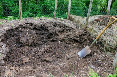 Gübre yığını sebze bahçesinde bahçe kazmak için kullanılmıyor.