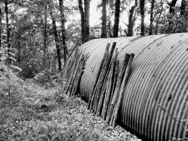 Kırsal bir yolun sonundaki ormanda gizlenmiş metal bir barakanın siyah beyaz fotoğrafı.