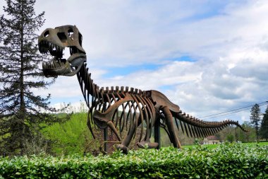 Tam boy Tyrannosuarus iskeleti Fransa 'nın Dordogne kırsalının tarih öncesi alanının merkezinde.