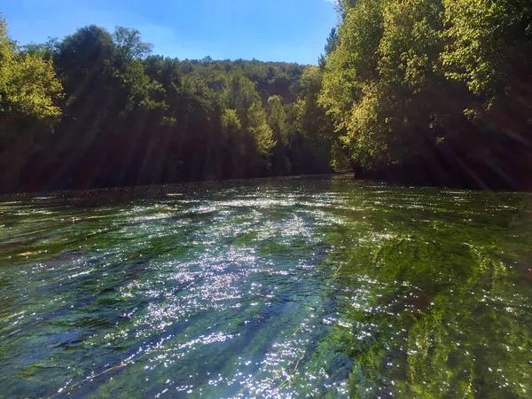 Fransa, Dordogne 'da Vezere Nehri güneşli bir günde. Su Crowfoot (Ranunculus fluitans) nehir yüzeyinin hemen altında görülebilir.