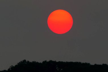 Dordogne, Fransa 'da ağaçlık bir vadide dramatik bir kırmızı güneş batıyor. Ağustos 2025 'te Fransa' da sıcak hava dalgası sırasında Sahra 'dan gelen kumların neden olduğu kırmızı gölgeler.