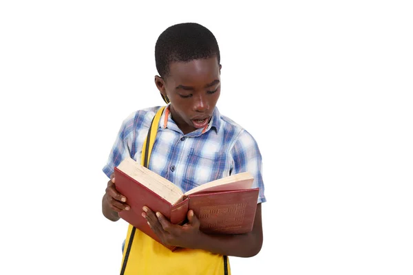Teenager Shirt Standing White Background Reading Book Amazed Royalty Free Stock Images