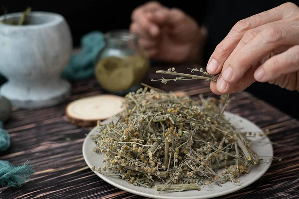 Bir bitkibilimci kurutulmuş pelin yaprağından toz hazırlar. Millet, alternatif tıp. Yüksek kalite fotoğraf