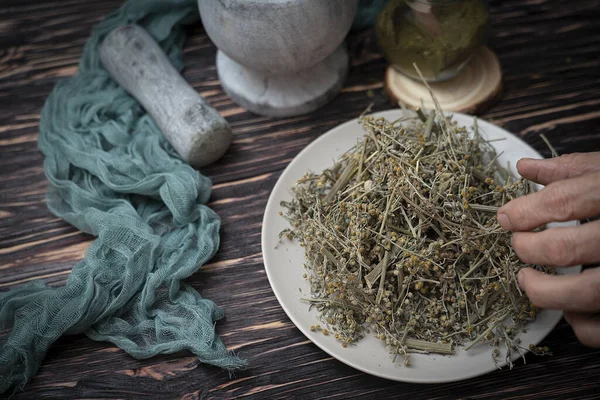 Bir bitkibilimci kurutulmuş pelin yaprağından toz hazırlar. Millet, alternatif tıp. Yüksek kalite fotoğraf