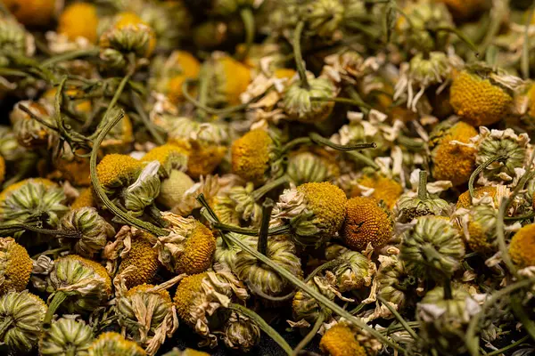 Fundo Forma Flores Camomila Secas Ingrediente Para Chá Ervas Decocção — Fotografia de Stock