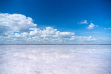 Bursol pembe gölü. Bulutlar açık pembe suya yansıyor. Ekran koruyucu, duvar kağıdı, kartpostal için arka plan. Yüksek kalite fotoğraf