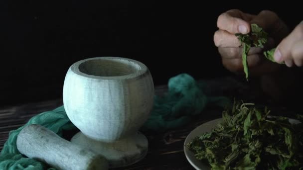 草本主義者は薬用ハーブをモルタルに注ぐ 漢方薬の製造 民間代替医療 — ストック動画