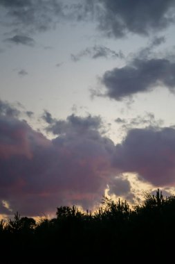 Gün batımında pembe ve mor bulutlar. Ekran koruyucular için doğal bir arka plan. Yüksek kalite fotoğraf